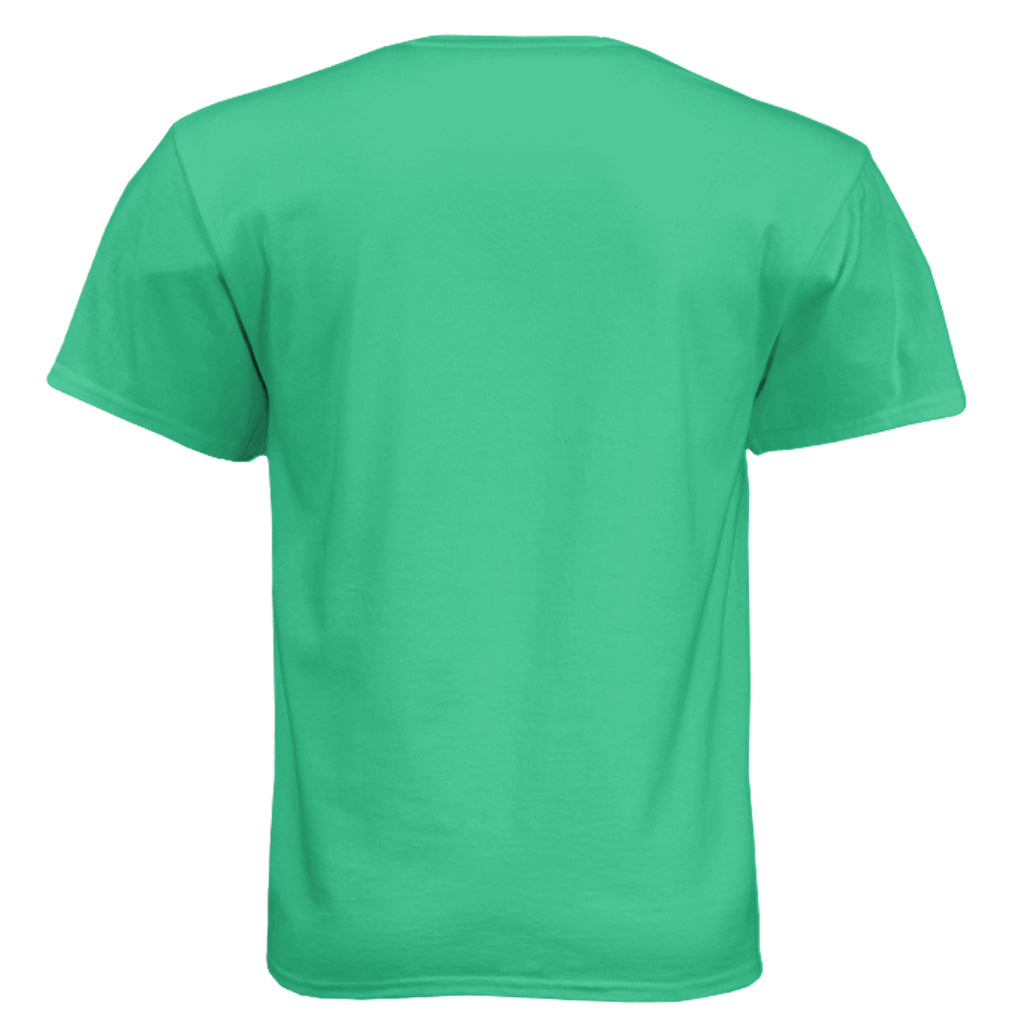Success Will Follow Tee – ENVY - 6010 - BACK