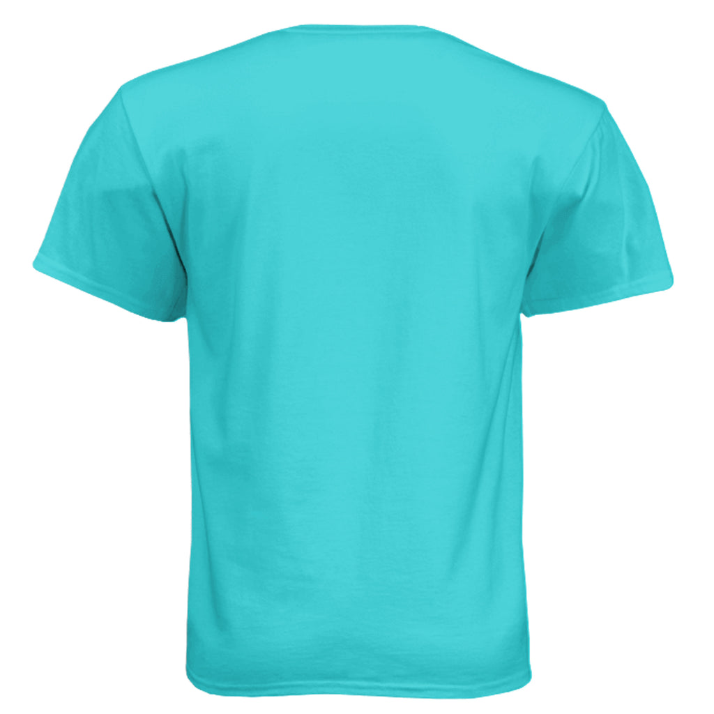 Success Will Follow Tee – Tahiti Blue - 6010 - BACK