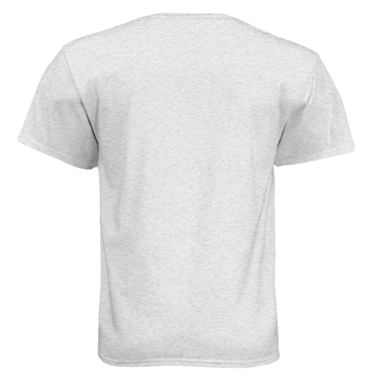 Success Will Follow Tee – HEATHER WHITE - 6010 - BACK