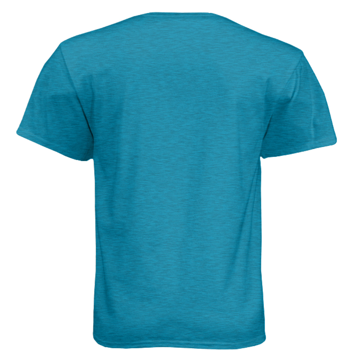 Success Will Follow Tee – VINTAGE TURQ - 6010 - BACK
